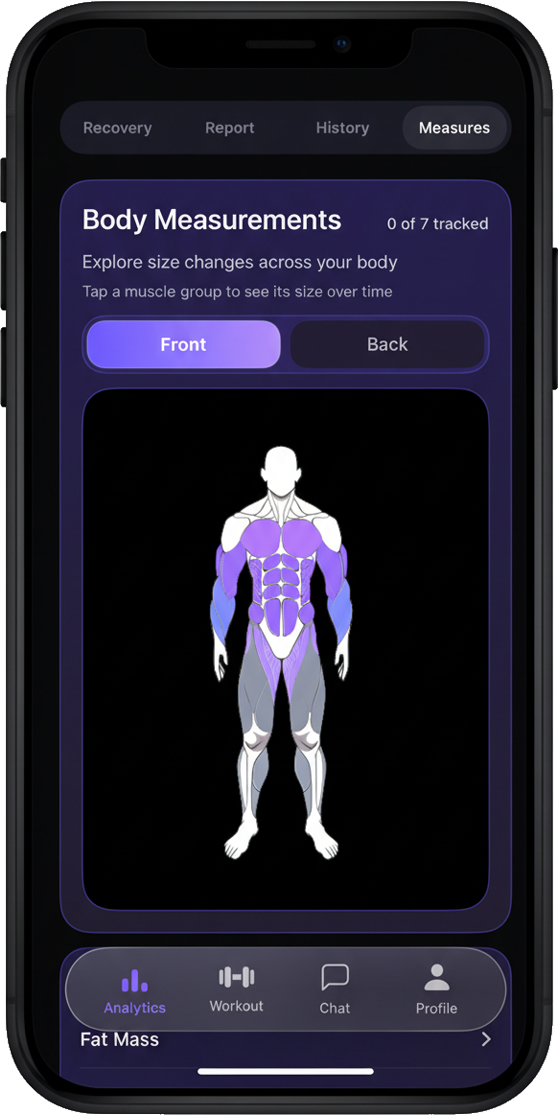 Body measurements dashboard